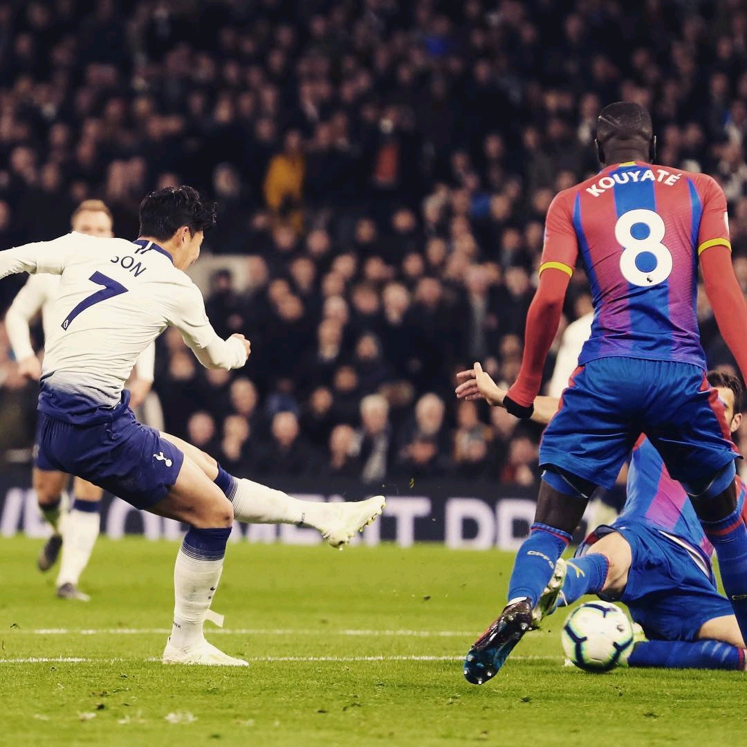 证实了他在 证实了他在