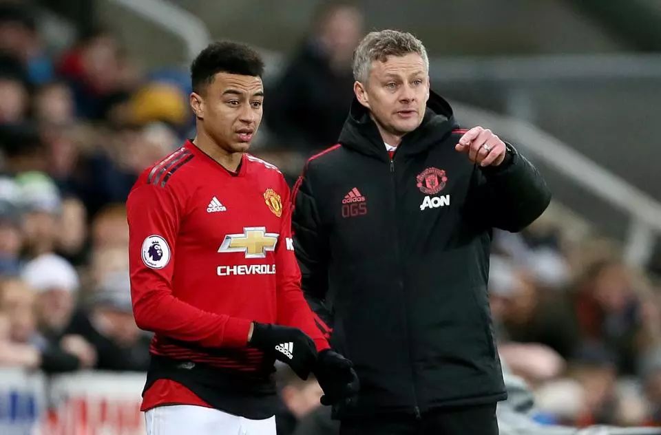 们的综合素 们的综合素